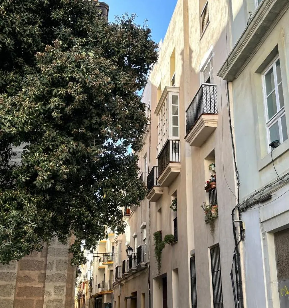 Apartmán Luminoso Apartamento En El Centro De Cádiz Španělsko